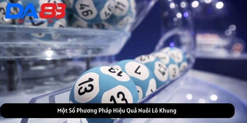 Một Số Phương Pháp Hiệu Quả Nuôi Lô Khung